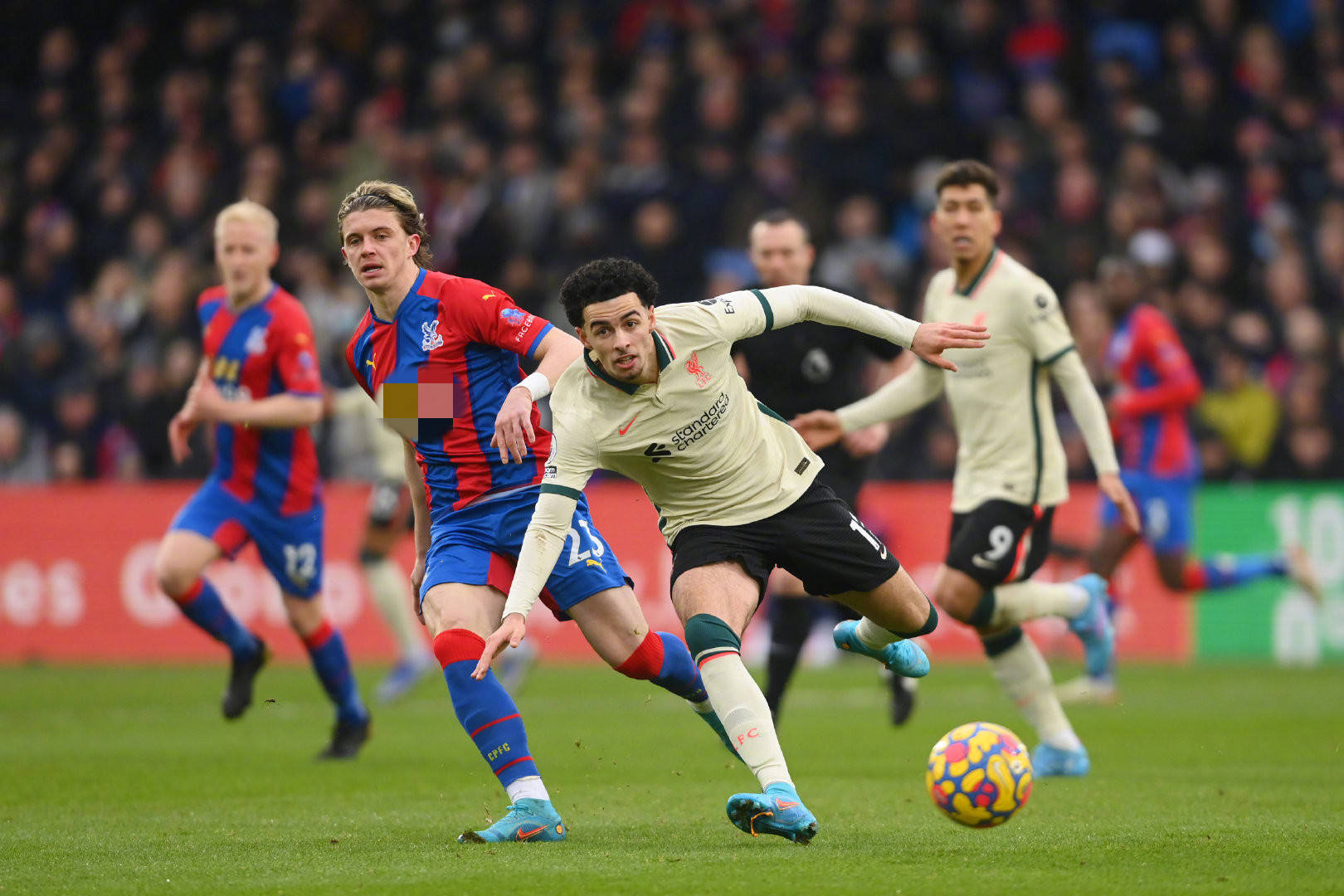 谜底背后的 谜底背后的