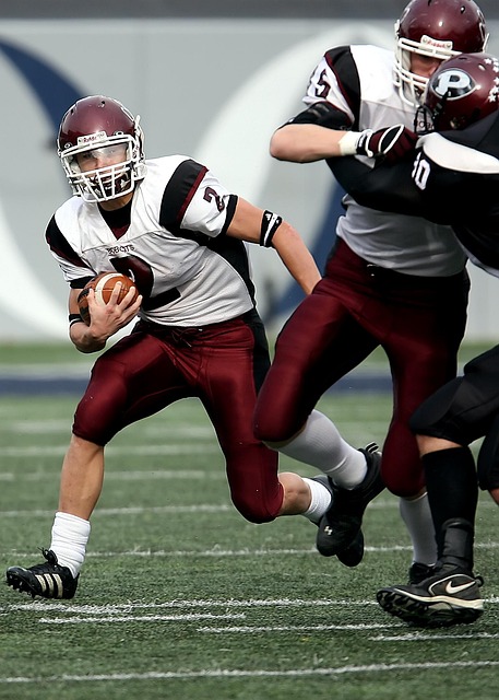 经济利益 经济利益